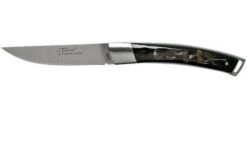 Le Thiers Le Nature Rough Buffalo Horn T7BB Pocket Knife By Fontenille Pataud
