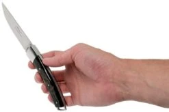 Le Thiers Le Nature Rough Buffalo Horn T7BB Pocket Knife By Fontenille Pataud -Cheap Nippon Knife Store FPT7BB 08 fontenille pataud